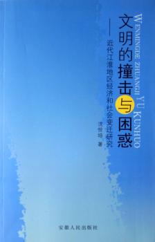文明的撞击与困惑:近代江淮地区经济和社会变迁研究