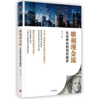 雕刻现金流：从证券化到项目融资+2