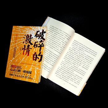 破碎的激情+2