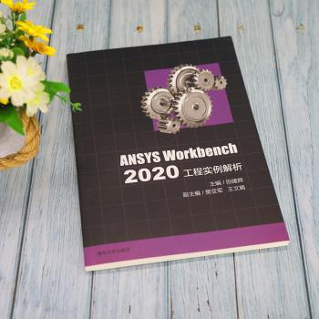 ANSYS Workbench2020工程实例解析