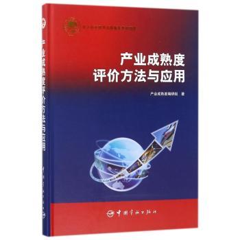 产业成熟度评价方法与应用+2