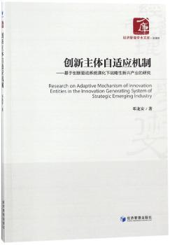 创新主体自适应机制:基于创新驱动系统演化下战略性新兴产业的研究+2