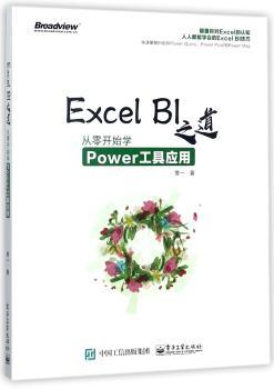 Excel BI之道：从零开始学Power工具应用+2