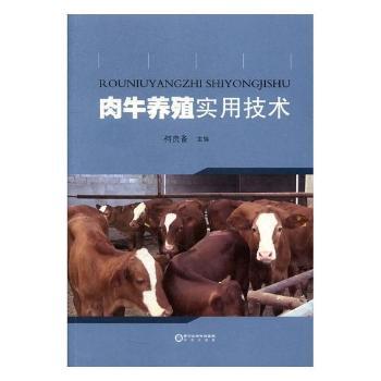 肉牛养殖实用技术+2