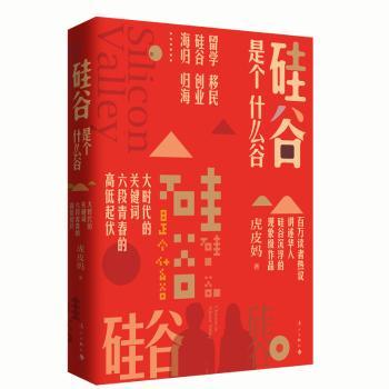 硅谷是个什么谷+2
