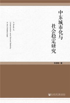 中东城市化与社会稳定研究+2