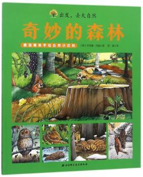 奇妙的森林+2