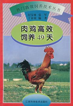 肉鸡饲养49天