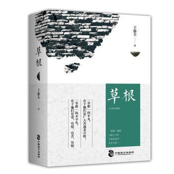 草根+2