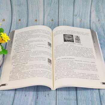 幼儿游戏理论与活动指导(微课版教师教育系列教材)