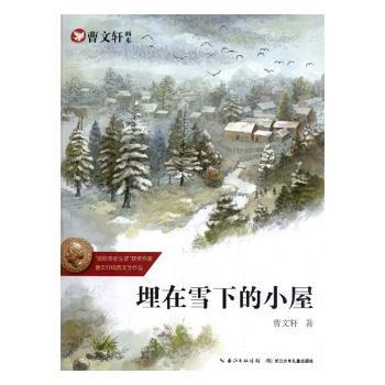 埋在雪下的小屋+2