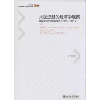 大国追赶的经济学观察-理解中国开放宏观经济-(上.下)