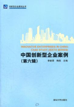 中国创意型企业案例-(第六辑)