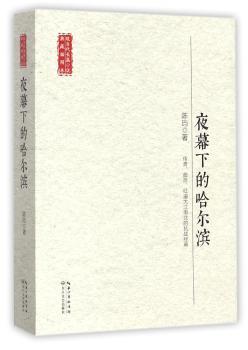 夜幕下的哈尔滨+2