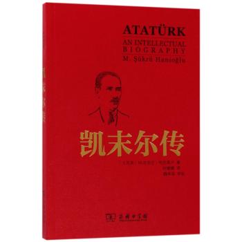 凯末尔传+2