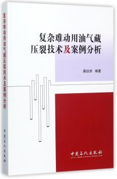 复杂难动用油气藏压裂技术及案例分析+2