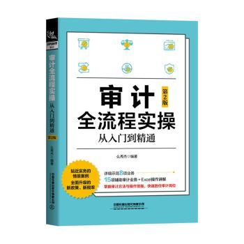 审计全流程实操从入门到精通+2