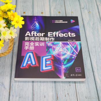 After Effects 影视后期制作实训手册