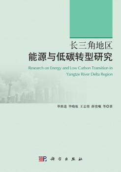 长三角地区能源与低碳转型研究