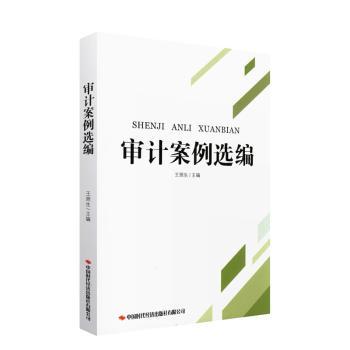 审计案例选编+2