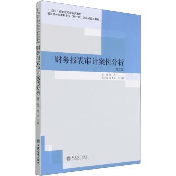 财务报表审计案例分析+2
