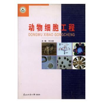 动物细胞工程+1
