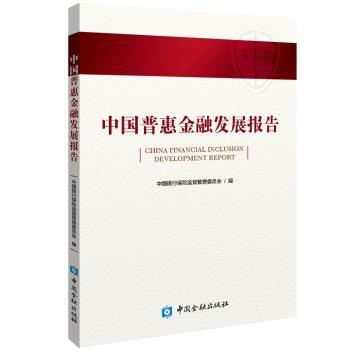 中国普惠金融发展报告+2