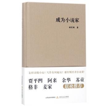 成为小说家+2