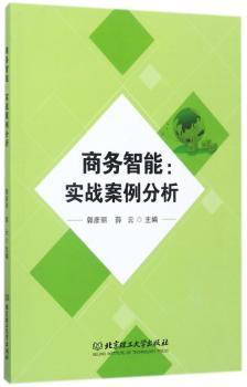 商务智能：实战案例分析+2