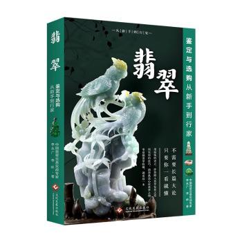 翡翠鉴定与选购从新手到行家+2