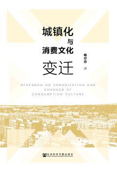 城镇化与消费文化变迁+2
