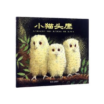 小猫头鹰+2