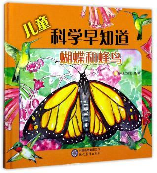 蝴蝶和蜂鸟