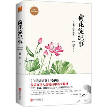 荷花淀纪事+2
