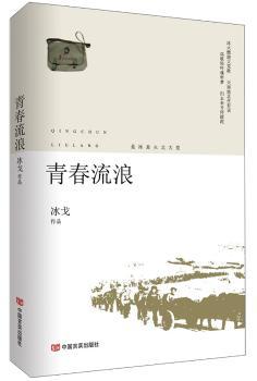 青春流浪+2