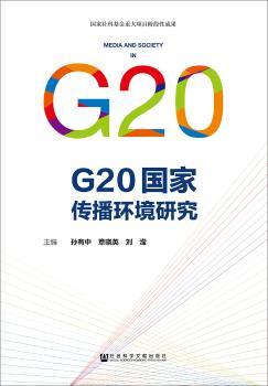 G20国家传播环境研究+2