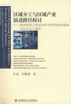 区域分工与区域产业演进路径探讨:兼重构新古典宏观经济学的微观基础:内生化分工演进