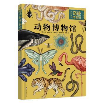动物博物馆+2