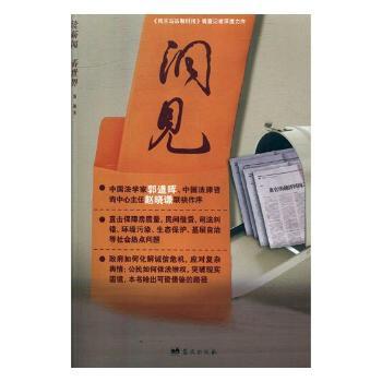 洞见+2