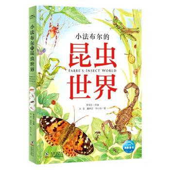 小法布尔的昆虫世界(精)