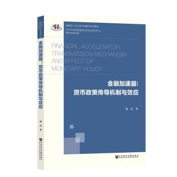 金融加速器:货币政策传导机制与效应+2