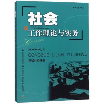社会工作理论与实务+2