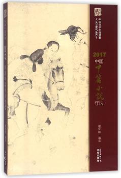 2017中国中篇小说年选+2