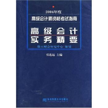 会计实务精要(2004年度会计师资格考试指南)