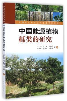 中国能源植物栎类的研究