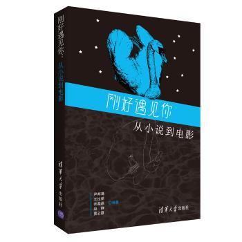 刚好遇见你：从小说到电影+2