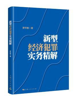 新型经济犯罪实务精解+2