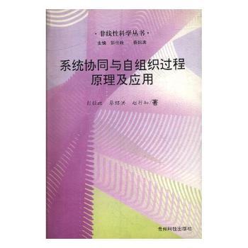 系统协同与自组织过程原理及应用