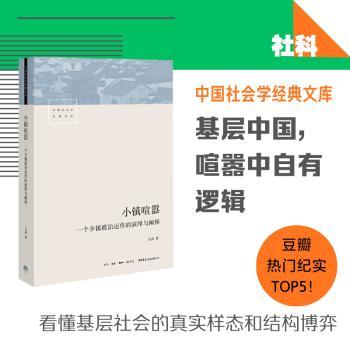 小镇喧嚣：一个乡镇政治运作的演绎与阐释+2