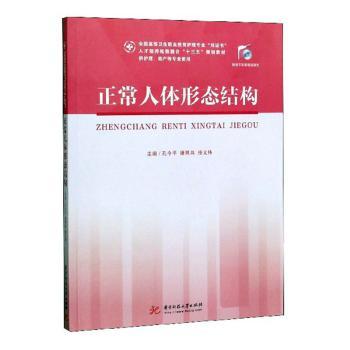 正常人体形态结构+2
